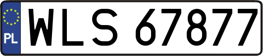 WLS67877