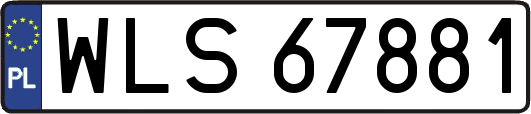 WLS67881