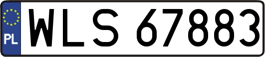 WLS67883