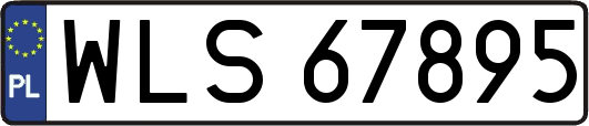 WLS67895