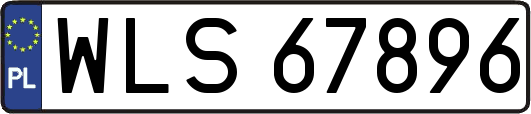 WLS67896