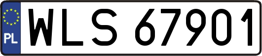 WLS67901