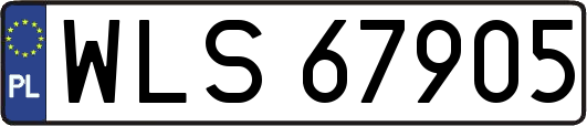 WLS67905