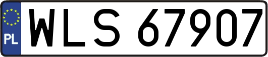 WLS67907