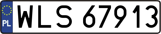 WLS67913