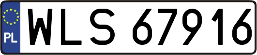 WLS67916