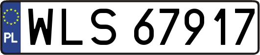 WLS67917