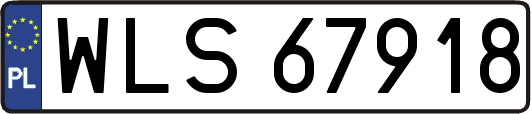 WLS67918