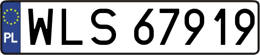 WLS67919