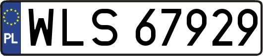 WLS67929
