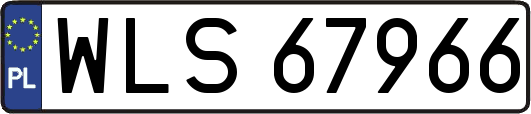 WLS67966