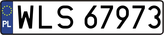 WLS67973