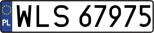 WLS67975