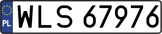 WLS67976