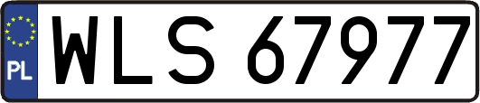WLS67977