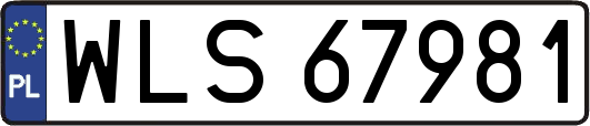 WLS67981