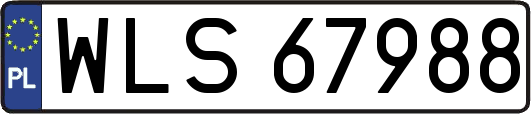 WLS67988