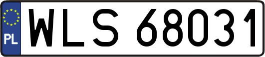 WLS68031