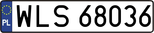 WLS68036