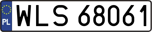 WLS68061