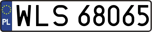 WLS68065