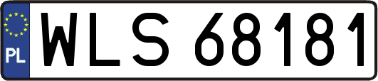 WLS68181