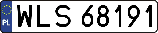 WLS68191