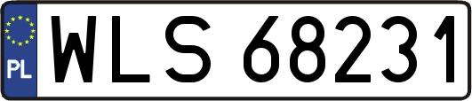 WLS68231