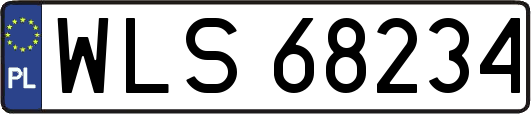 WLS68234
