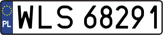 WLS68291