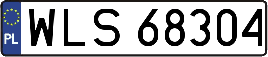 WLS68304