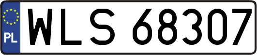 WLS68307
