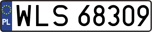 WLS68309