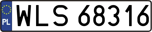 WLS68316