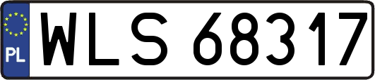 WLS68317