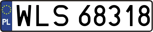 WLS68318