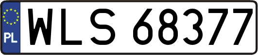 WLS68377