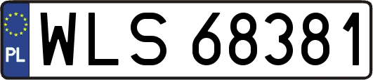 WLS68381