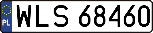 WLS68460