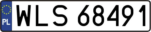WLS68491