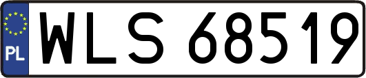WLS68519