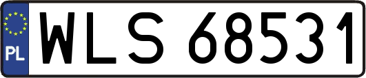 WLS68531