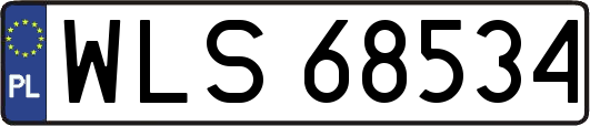WLS68534