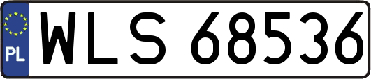 WLS68536