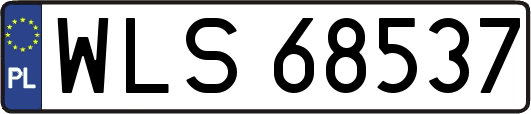 WLS68537