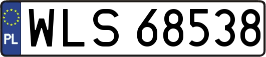 WLS68538