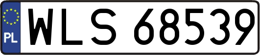 WLS68539