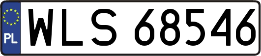 WLS68546
