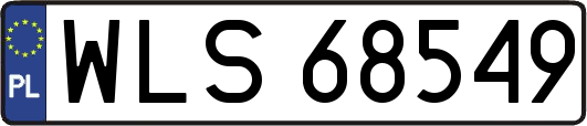WLS68549