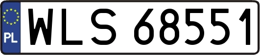 WLS68551